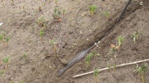 Индуктивность в полуавтомате. Что это и почему так важно знать новичку