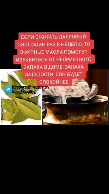 если сжигать лавровый лист дома один раз в неделю #медицина #зож #здоровье #народнаямедицина #рецеп смотреть онлайн