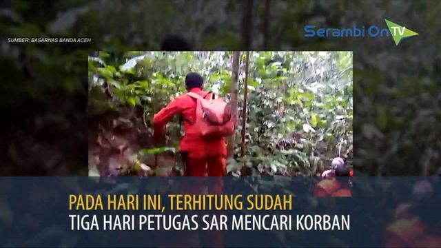 Tim SAR Temukan Rotan Milik Kakek 89 Tahun yang Hilang di Hutan Aceh Selatan смотреть онлайн