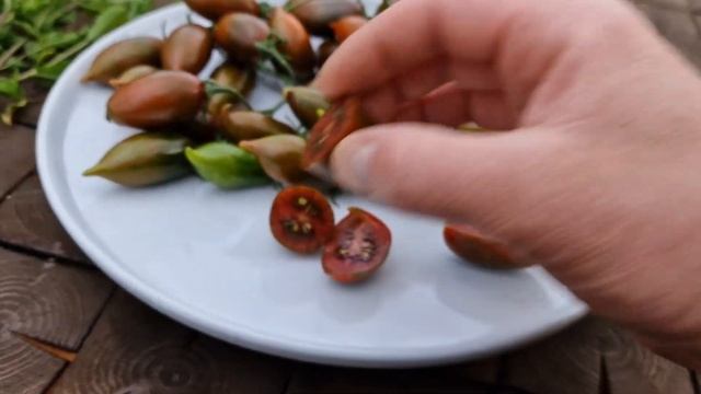 Сорт томата "Тигровая Зебра", черри длительного хранения. "Tiger Zebra" long keeper cherry tomato 🍅 смотреть онлайн