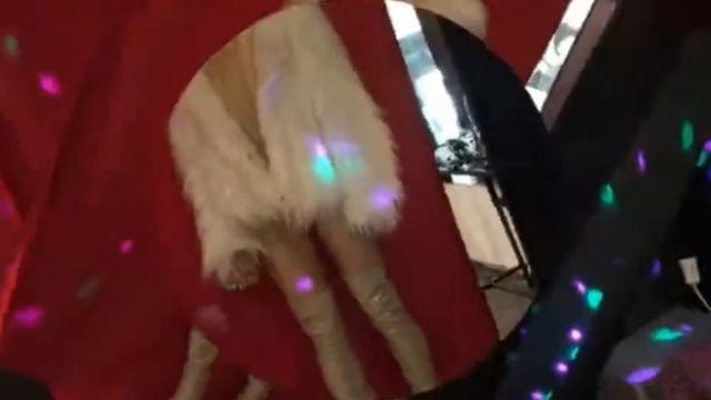 HOFMANNITA/Анна Михеева смотреть онлайн