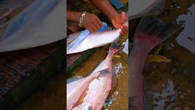 Big Fish Cutting, Wholesale inga thaan Nadakutha pala Hotel galukku, Pondicherry смотреть онлайн