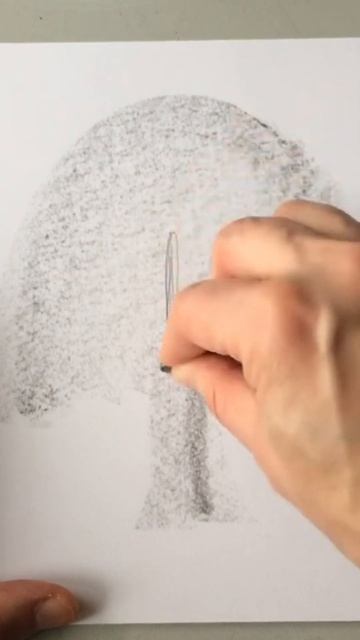 #shorts Как нарисовать дерево Рисуем деревья простым карандашом смотреть онлайн