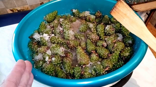 появление соснового сиропа. видео по вашим просьбам смотреть онлайн