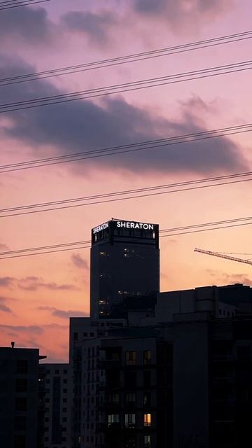 Pink Sunset смотреть онлайн