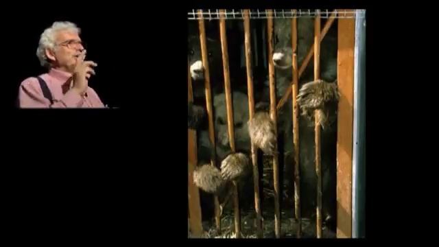 Charlie Russell at Vermilion College, Ely, MN June 28, 2013 смотреть онлайн