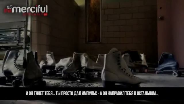 Растения в уютной обстановке