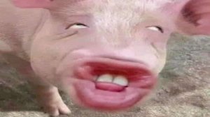 impossible memes compilation 2025 (memes from hole)