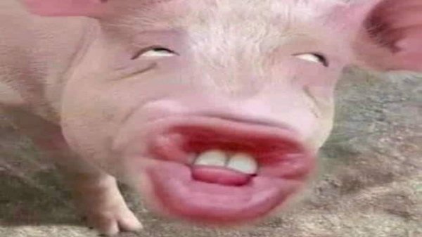 impossible memes compilation 2025 (memes from hole)