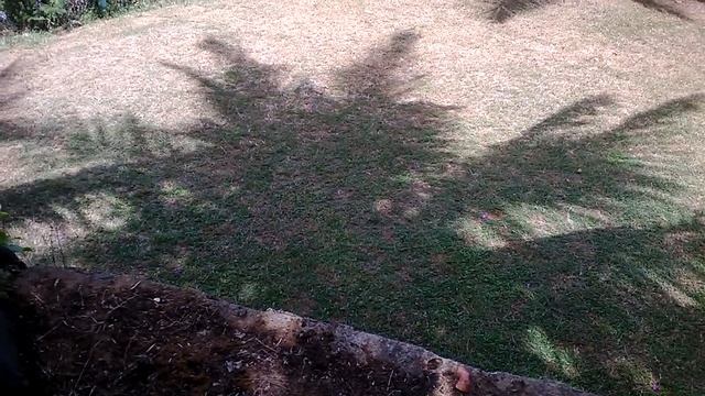 о значении слова "временность" смотреть онлайн