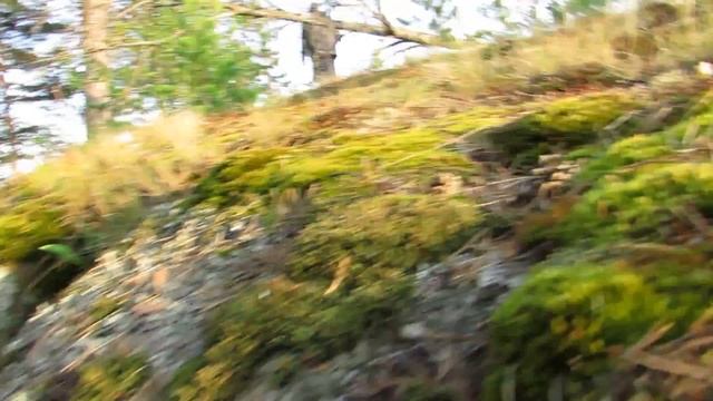 Всё тот же чаечный остров,его вторая половина смотреть онлайн