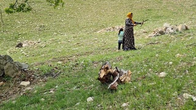 "The struggle of a nomadic woman to earn money and pay debts by selling firewood" смотреть онлайн