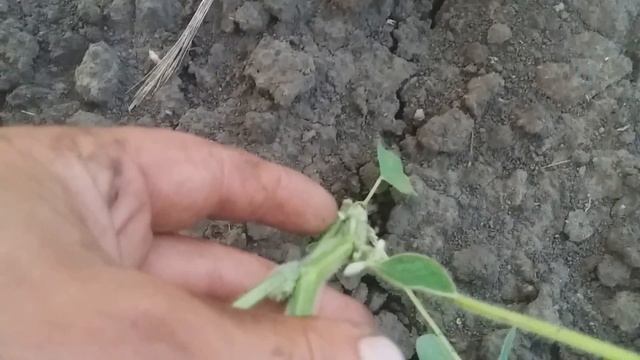 26,06,2018 Соя Онікс, Кордоба, і невідомий... смотреть онлайн