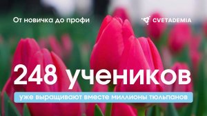 Как выращивают миллионы тюльпанов? Освойте профессиональную технологию выгонки.