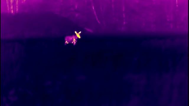 11 ман лося из колка смотреть онлайн