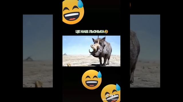 Тик ток самий лучший насвете (БУДУ СМОТРЕТЬ КАЖДИЙ ДЕНЬ)ТИК ТООК смотреть онлайн