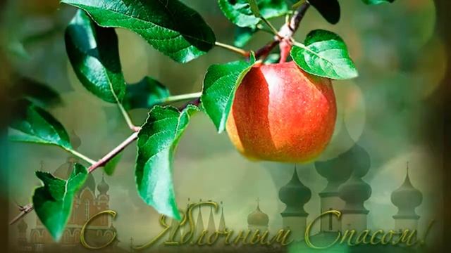 ~Три Спаса спеленали август.~ смотреть онлайн