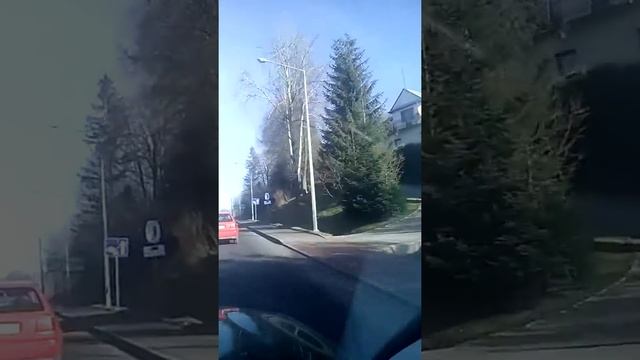 La tara prin Polonia смотреть онлайн