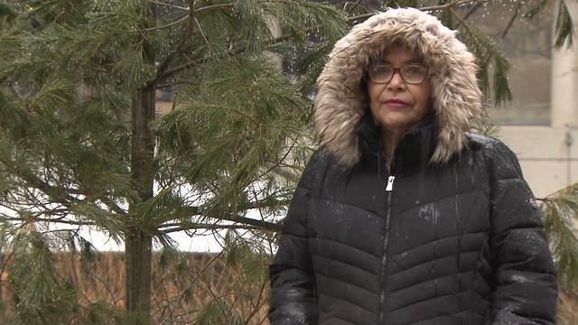 Pine Tree Knowledge with Elder Whabagoon, Ojibwe, Loon clanObishikokang/Lac Seul First Nation смотреть онлайн