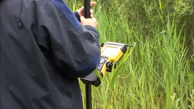 Liparis loeselii INBO inventaris смотреть онлайн