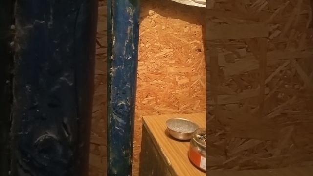 БЕСПРЕДЕЛ Участковых по городу Фролово,над поднозорными.Приехал отметить в ночное время. смотреть онлайн