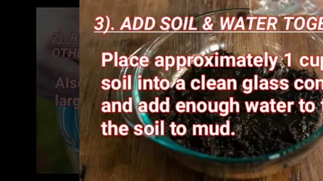 HOW TO TEST SOIL PH IN THE MOST CHEAPEST & ACCURATE WAY AT HOME USING VINEGAR & BAKING SODA смотреть онлайн