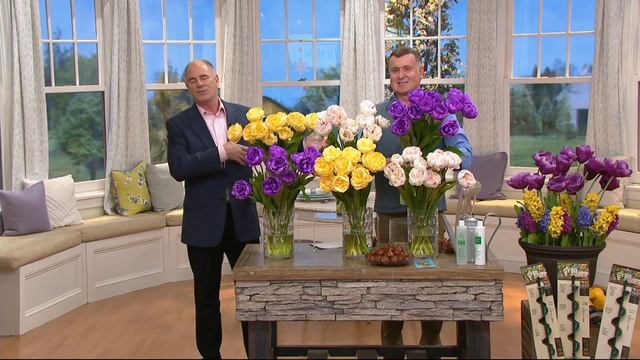 Roberta's 30 pc Lush & Plush Double Flowering Tulips on QVC смотреть онлайн
