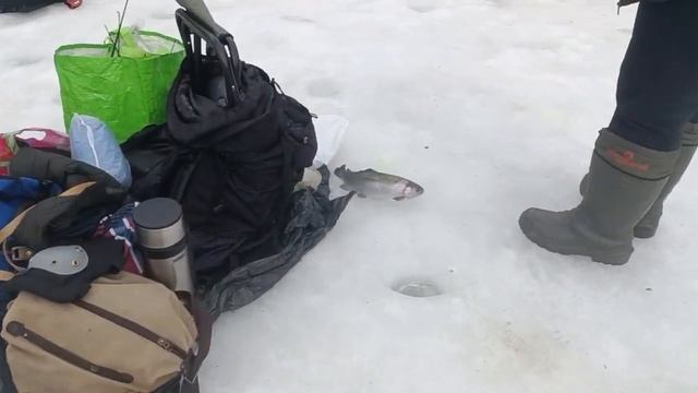 Снова на микс сыр и чеснок смотреть онлайн