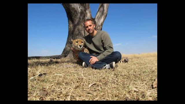 Tribute To Paul Walker