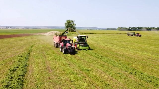 Senáže Vojtěšky (2023)| Case IH Puma 240 CVX & Annaburger | Claas Jaguar 960 | Sklizeň Vojtěšky 202 смотреть онлайн