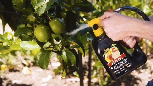 Richgro Black Marvel Fruit and Citrus TVC 2019 смотреть онлайн