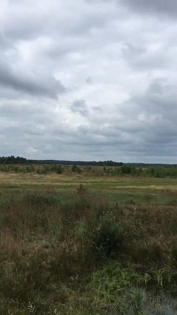 Урочище "Засвіття" (село Серхів, Прилісненська громада) смотреть онлайн