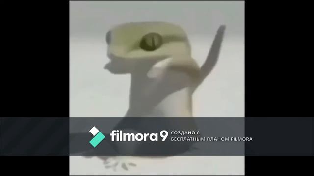 флекс ящерки смотреть онлайн