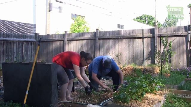 How to Use Mulch in your Garden Beds and the Benefits смотреть онлайн