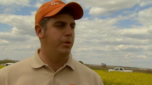 2011 Canola Outlook смотреть онлайн