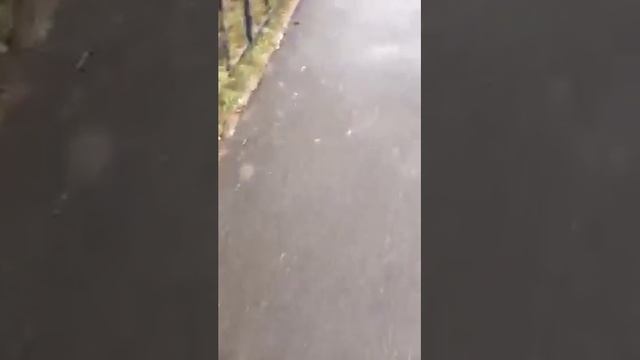 Artyompersidsky В каком дерьме я живу Эфир с матом смотреть онлайн