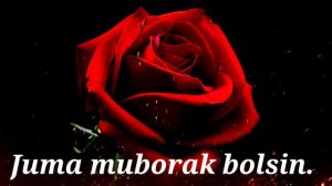 ЖУМА МУБОРАК/JUMA MUBORAK BOLSIN.