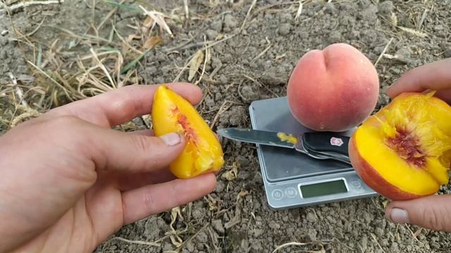 екстрим 436 і екстрим світ смотреть онлайн