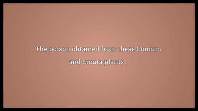 Hemlock Meaning смотреть онлайн