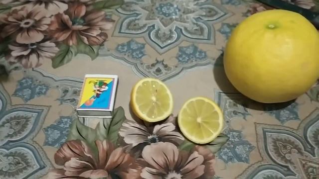 Лімон недоросток смотреть онлайн