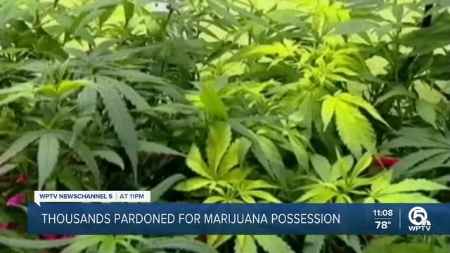 Biden's decision to pardon 'simple possession' of marijuana sparks controversy in West Palm Beach смотреть онлайн