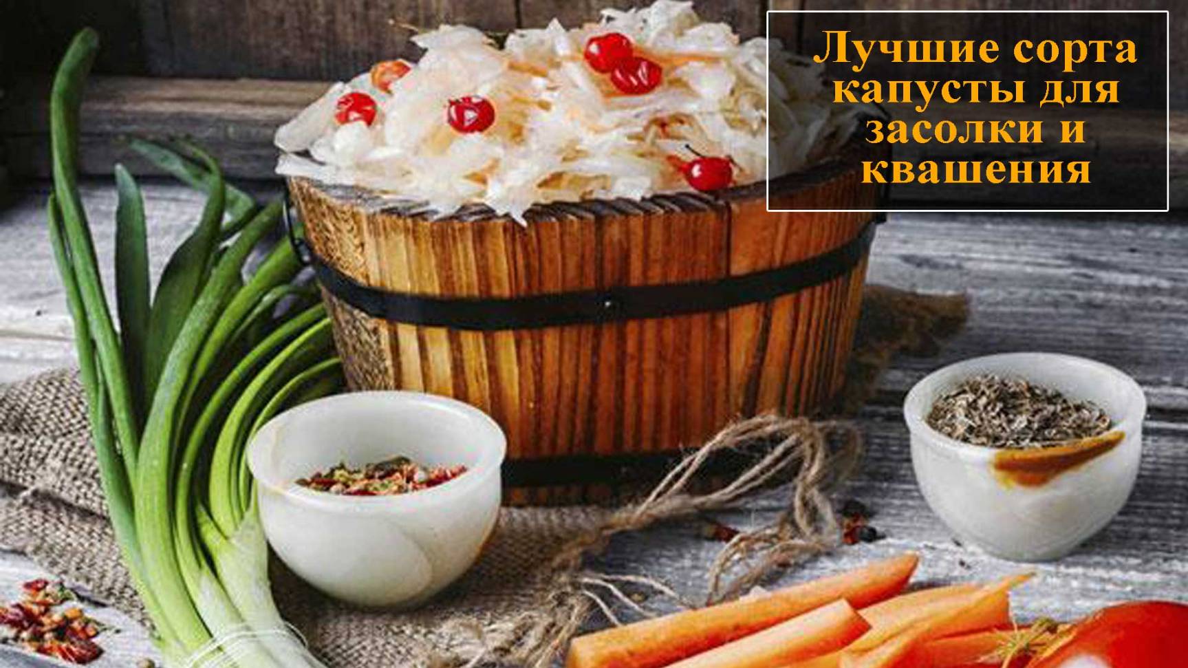 Сорта капусты лучшие для засолки смотреть онлайн