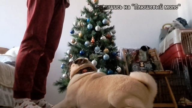 Тренировочка 13.01.24,наше первое видео💋 смотреть онлайн