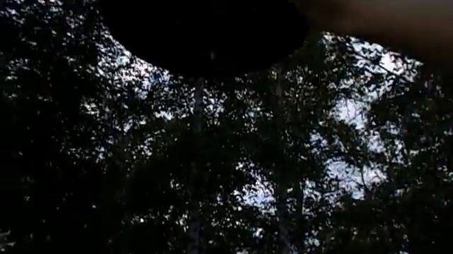 Дзынь-Дзынь смотреть онлайн