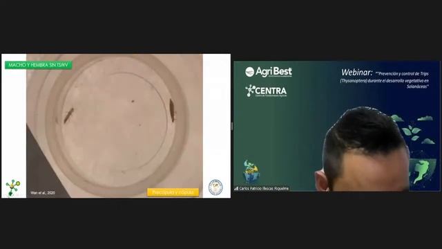 Prevención y control de ⚠️Trips ⚠️ durante el desarrollo vegetativo en Solanáceas смотреть онлайн