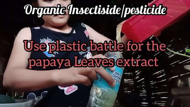 Papaya leaves extract- Organic Insecticide/pesticide смотреть онлайн