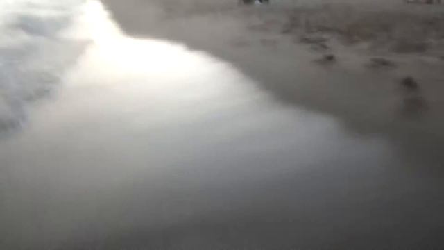 Узбережжя Канн смотреть онлайн