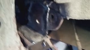 РЕМОНТ УЗЛА КРЕПЛЕНИЯ ЗАДНЕЙ БАЛКИ АUDI