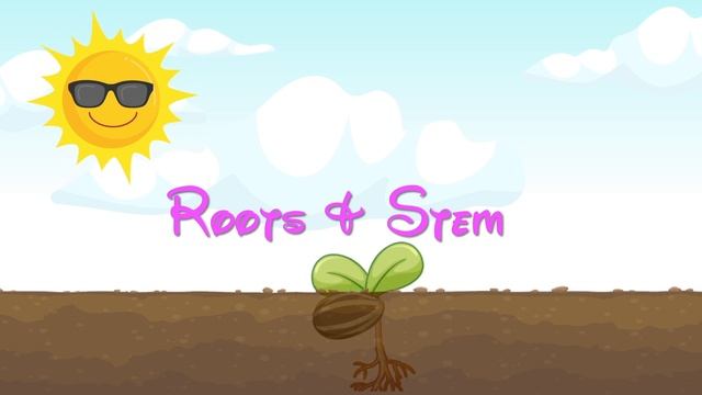 Plant Life Cycle - Learning Life Cycle - Videos For Kids And Toddlers смотреть онлайн