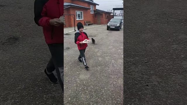 Копчение сала смотреть онлайн